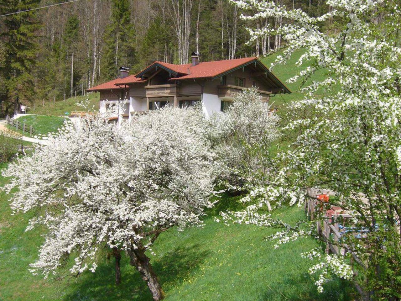 Haus Eicher Schneizlreuth Dış mekan fotoğraf